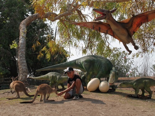 גן גורו ניר דוד